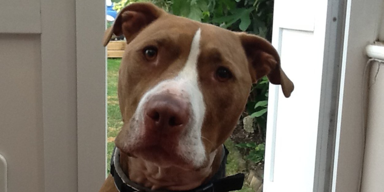 Micky P 3110 🇮🇹🇮🇹🇮🇹 banner