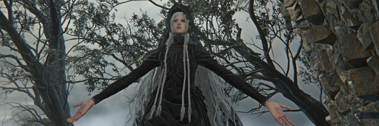 waidacchi's profile banner image