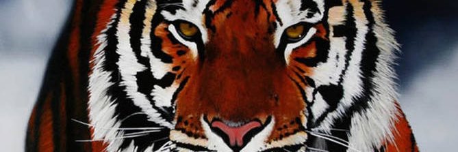Scott Phillips banner
