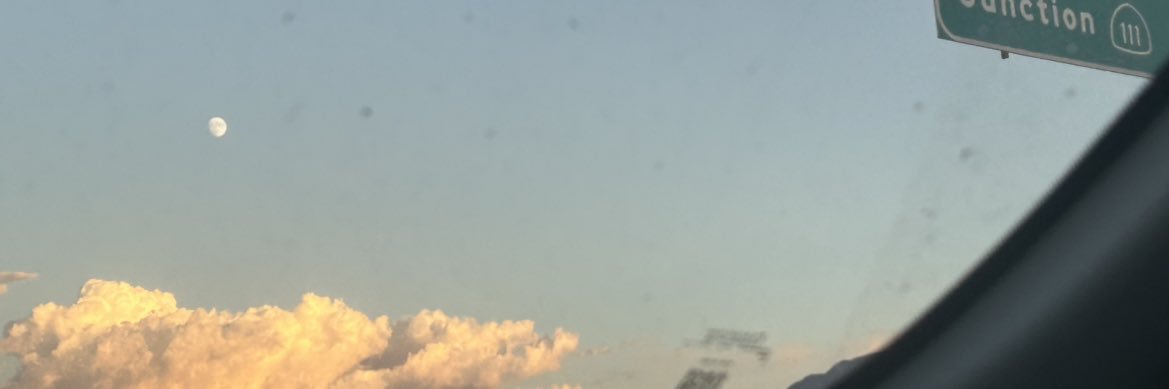 wolvesmika's profile banner image
