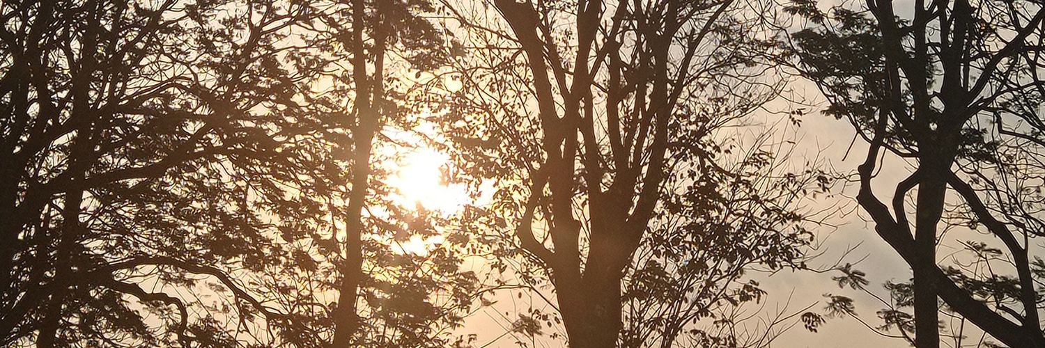 shinydayy_'s profile banner image