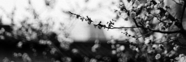 sun__is_mine Profile Banner