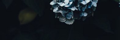 lestimeD's profile banner image