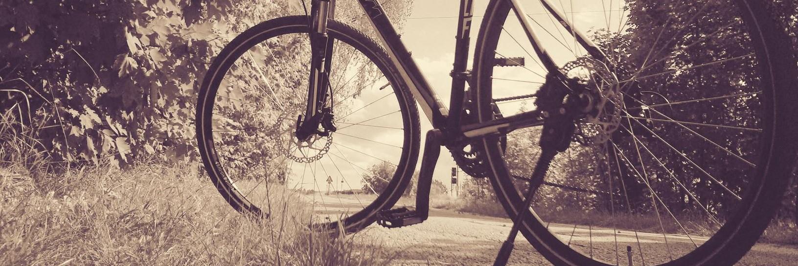 Michael Altmann banner