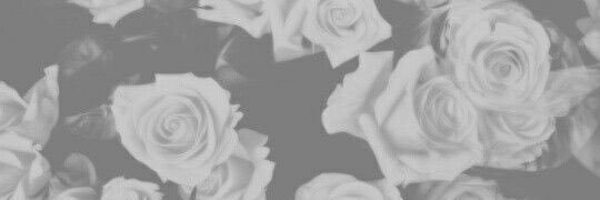 Aaron Lee banner