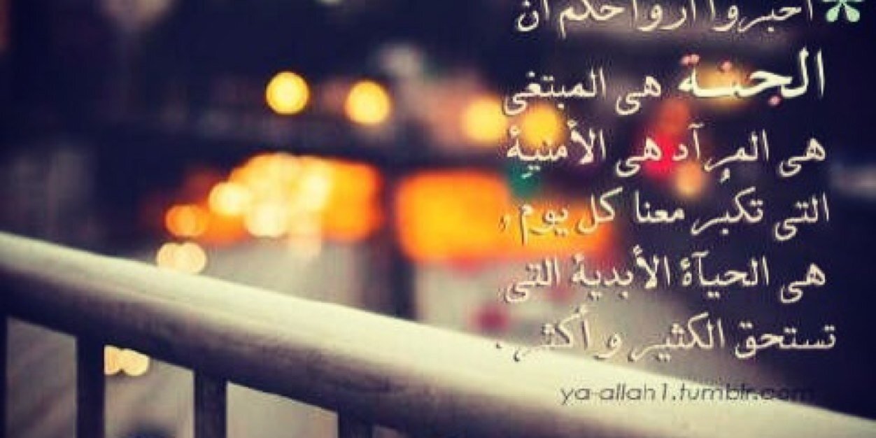 الشملاني banner