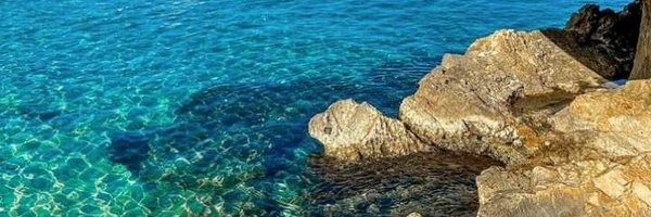 peanutPeanut15 Profile Banner