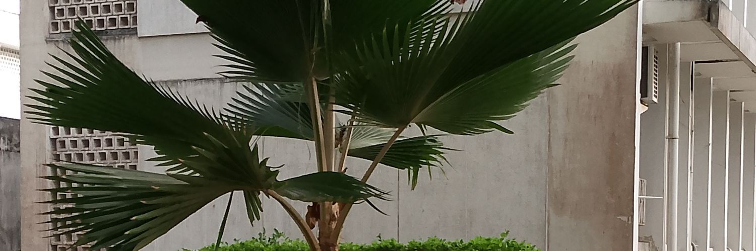 DaudJaphet22's profile banner image
