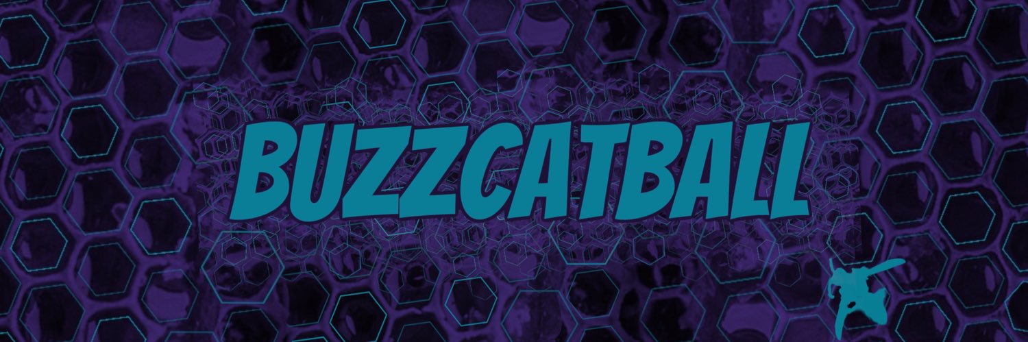 buzzcatball banner
