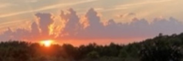 BarabbasBeard Profile Banner