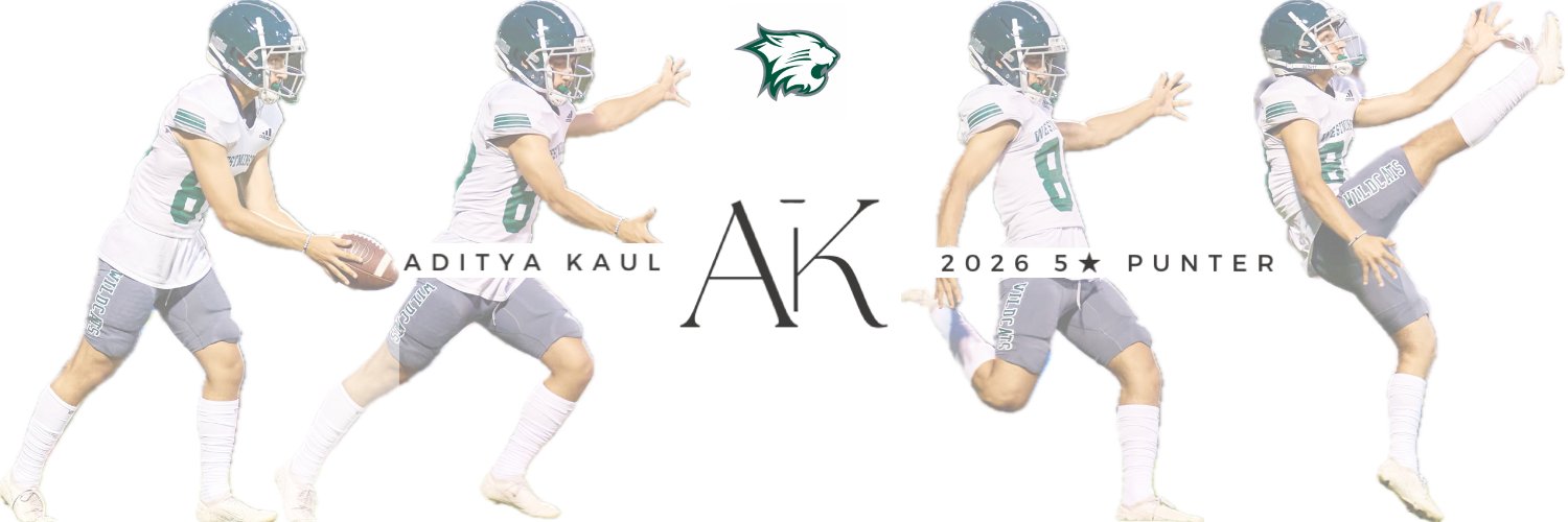Aditya Kaul's banner