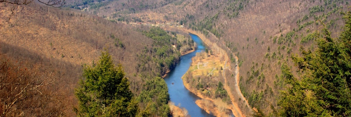 Erich J. Prince banner