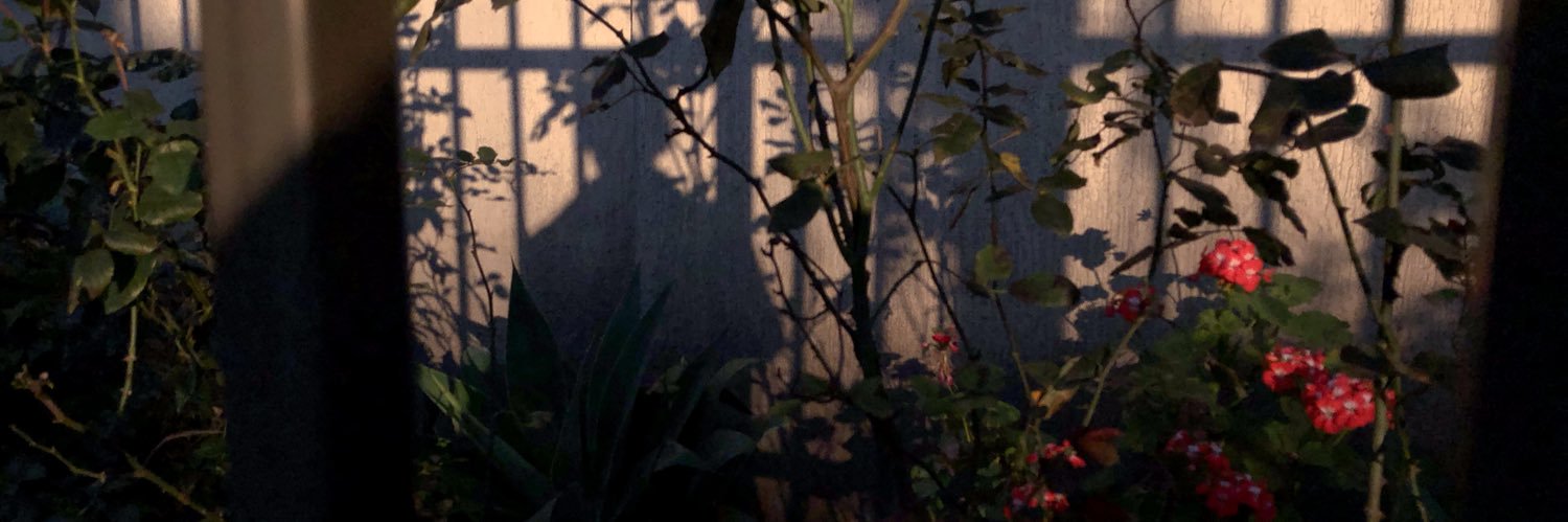 EBMGO's profile banner image