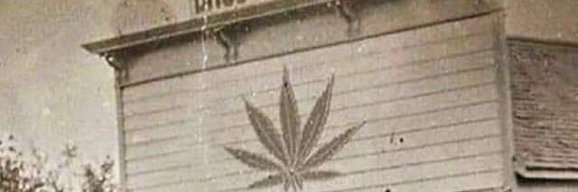 Cali B. banner