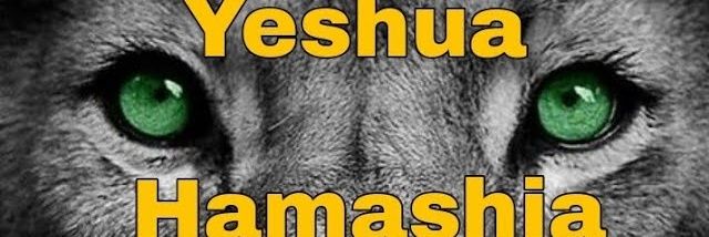 Beth MGP banner
