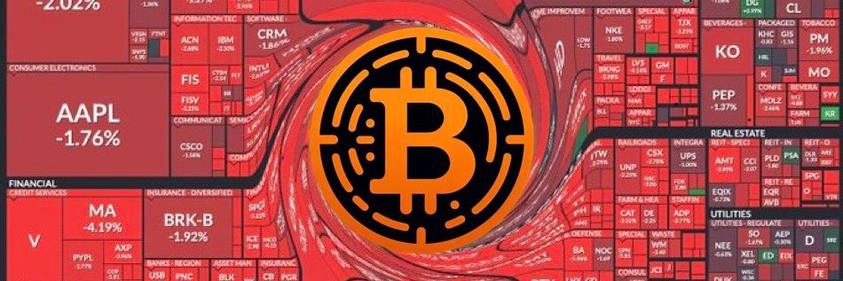 Crypto Noob banner