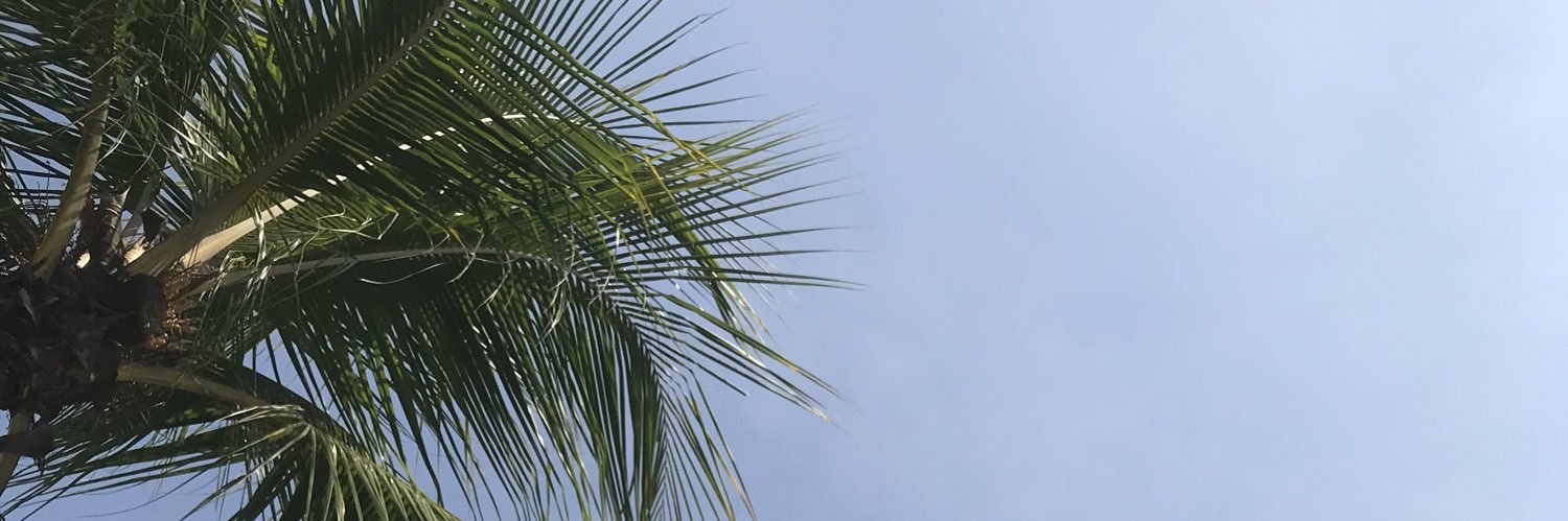 NadaQA's profile banner image