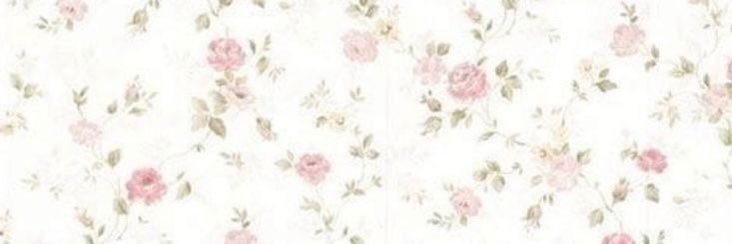 ǝᴉʌllop ˚୨୧⋆｡˚ ⋆'s banner