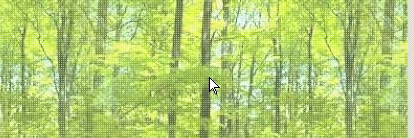 arisu 🇵🇸 banner