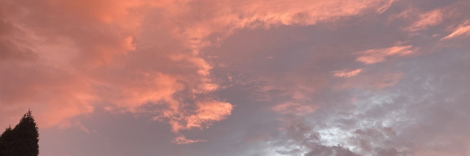 Lea.s155 banner