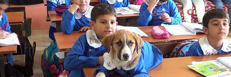 Can_Koyuncuoglu's profile banner image