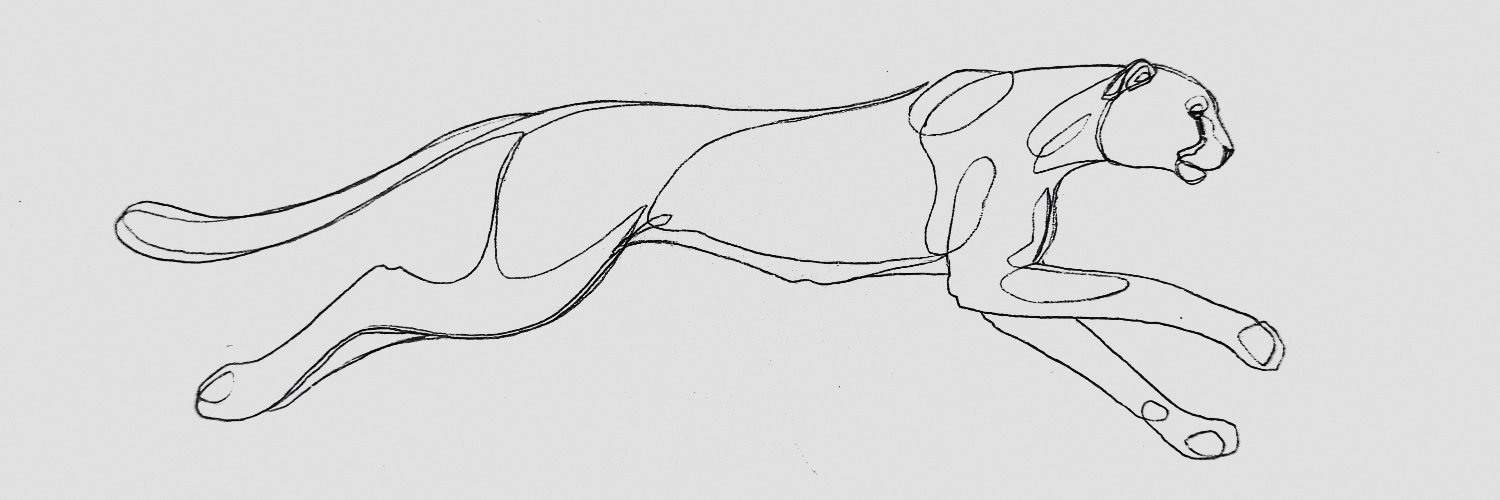 Salar Radmehr's banner