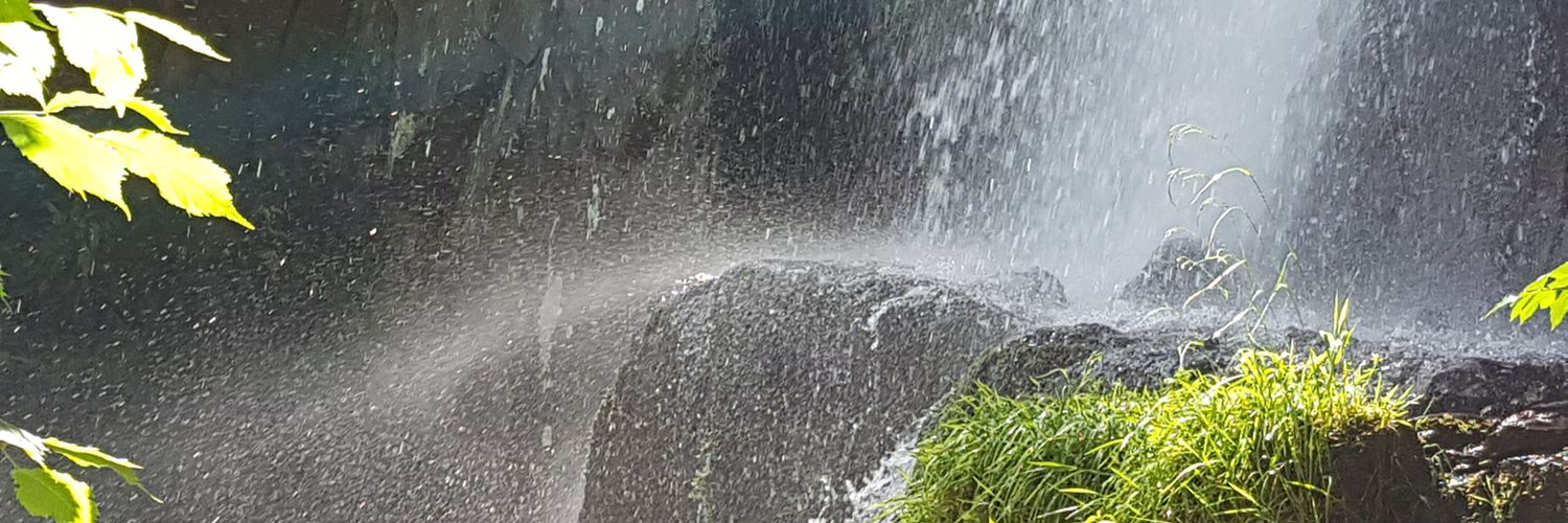 Thierry Legros banner