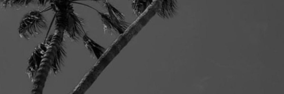 NFA__76's profile banner image