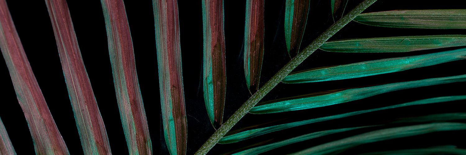 John Somerville banner