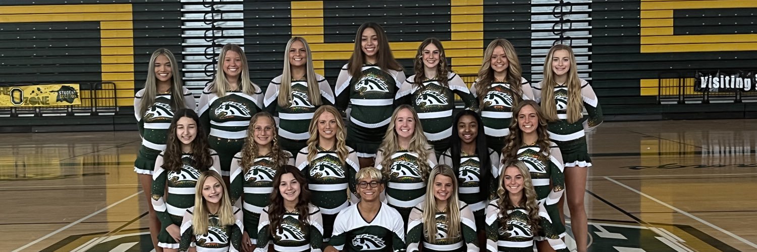 Ola Cheerleading banner