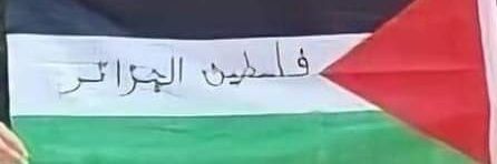 SOFIANEMEC's profile banner image
