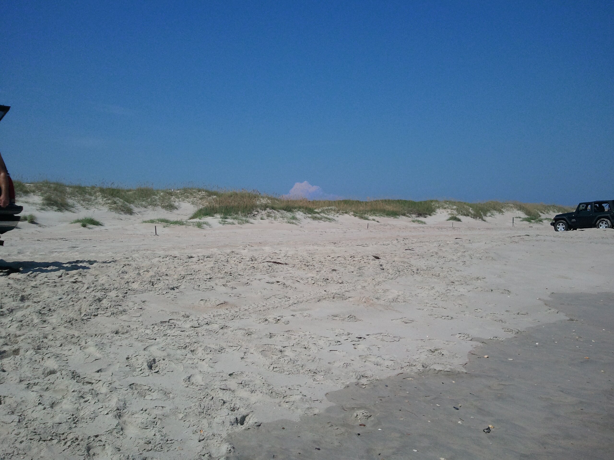 Victoria Hamill banner