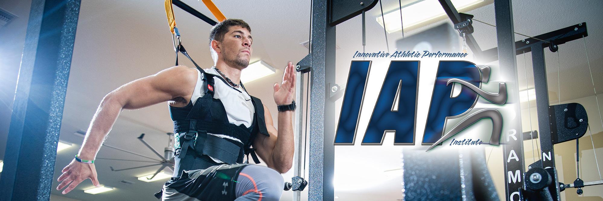 IAP Institute banner