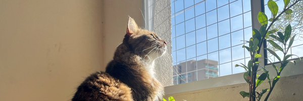MrioSantos11 Profile Banner