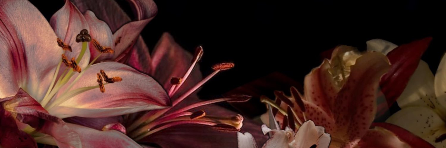 Evovvx's profile banner image