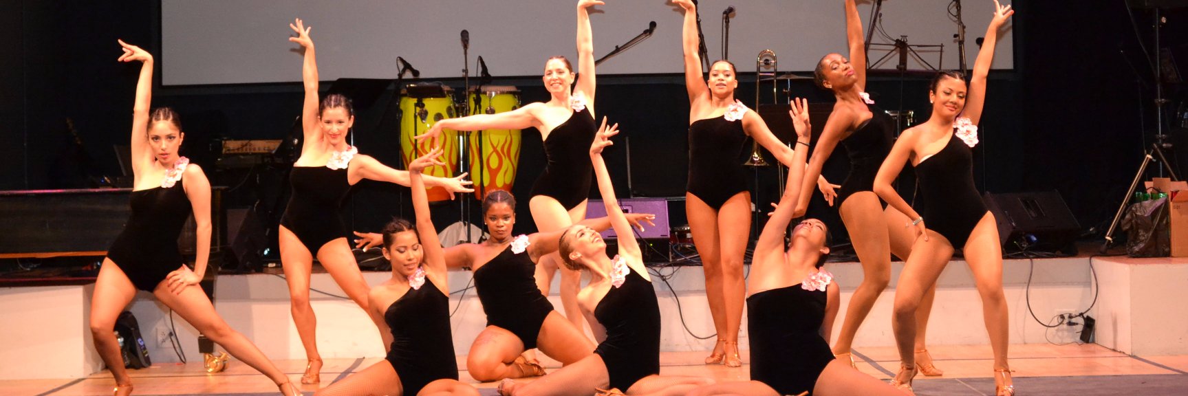 Nieves Dance Studio banner