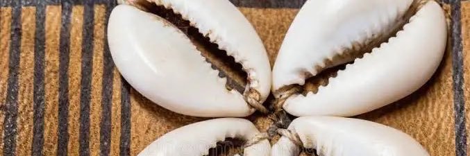 lexx banner