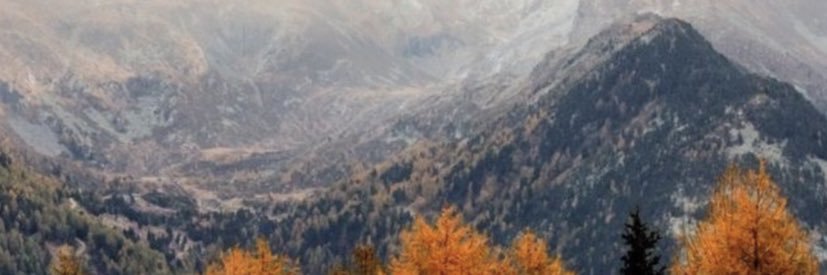 Matt_Boreman's profile banner image