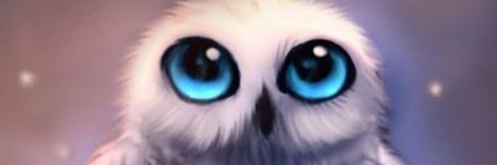Dx_King_'s profile banner image