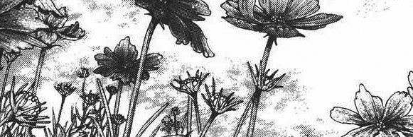 isadkdk banner