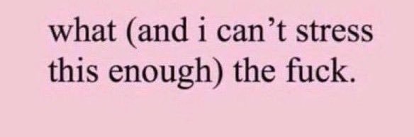 Marie & Max Snuck Back banner