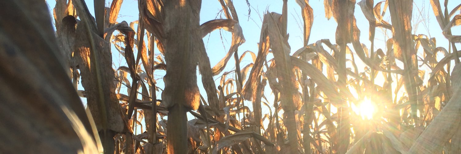 brycefarmer16's profile banner image