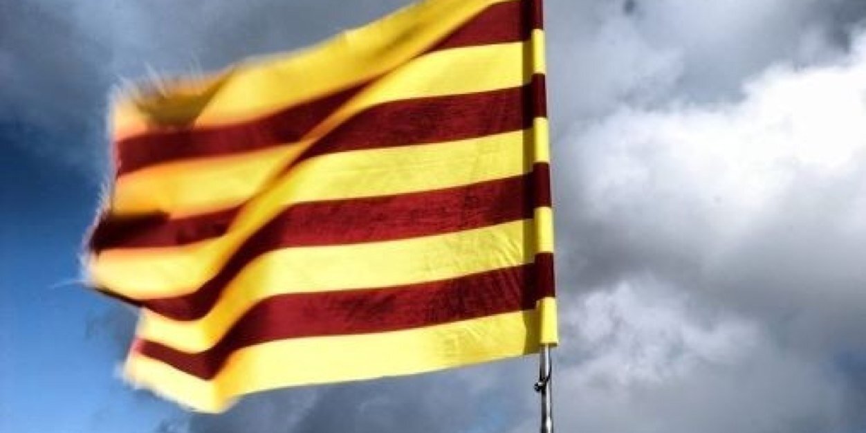 David Camí banner