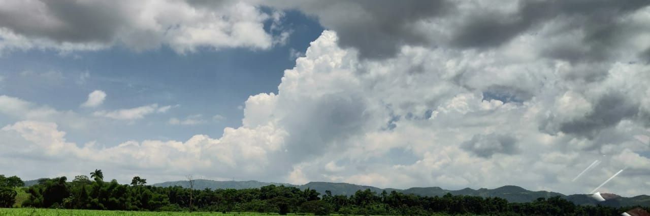 Shanielallyson's profile banner image