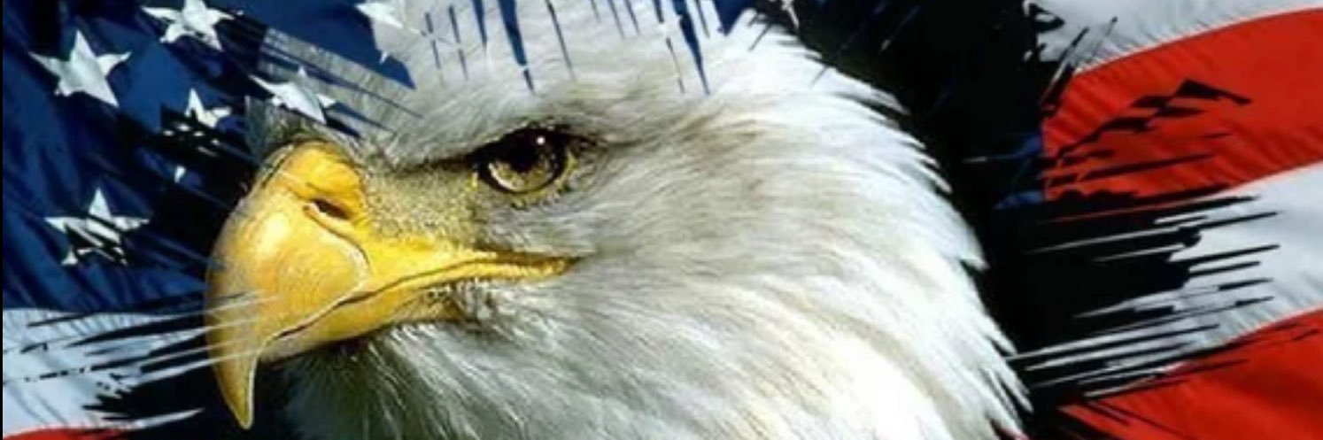 bluize_cryin's profile banner image