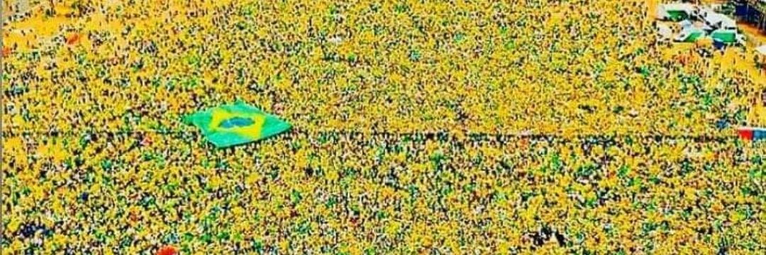 Sandra 🇧🇷🌻🌻🌻🇧🇷 banner