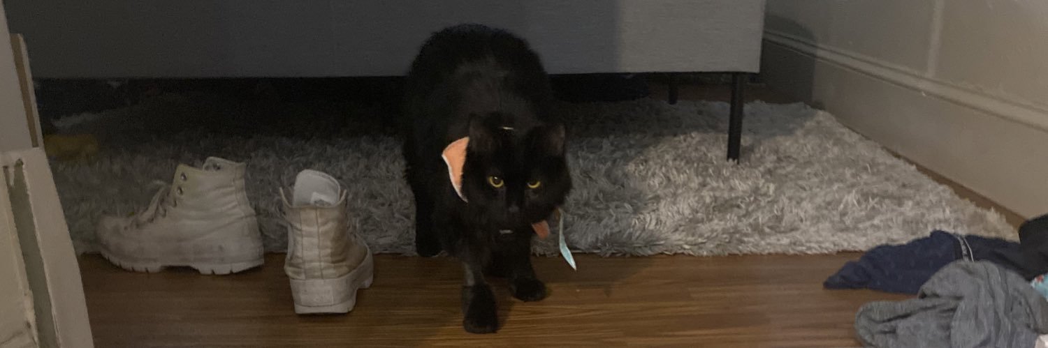 kitkatrat_'s profile banner image