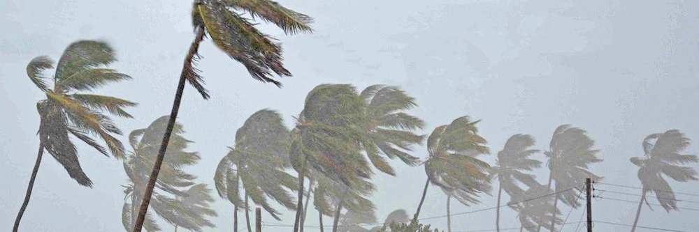 StormsUnited's profile banner image