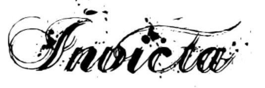 sigoinvictaa7's profile banner image