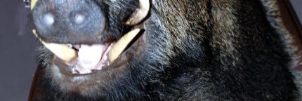 gerritweerts's profile banner image
